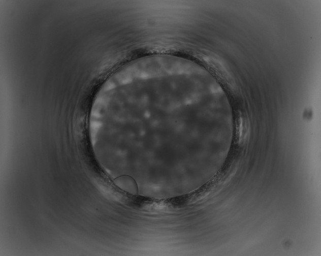 X0000101100503200807171915