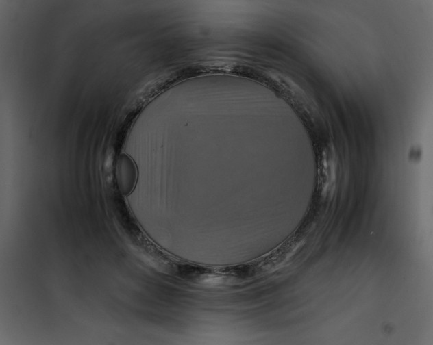 X0000101100504200807171915