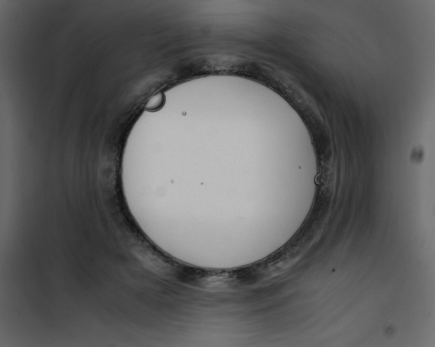 X0000101100505200807171915