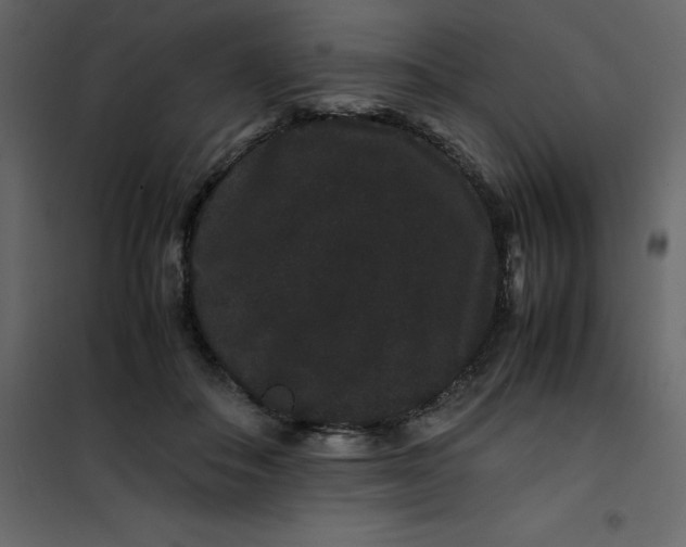 X0000101100506200807171915