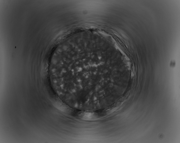 X0000101100507200807171915