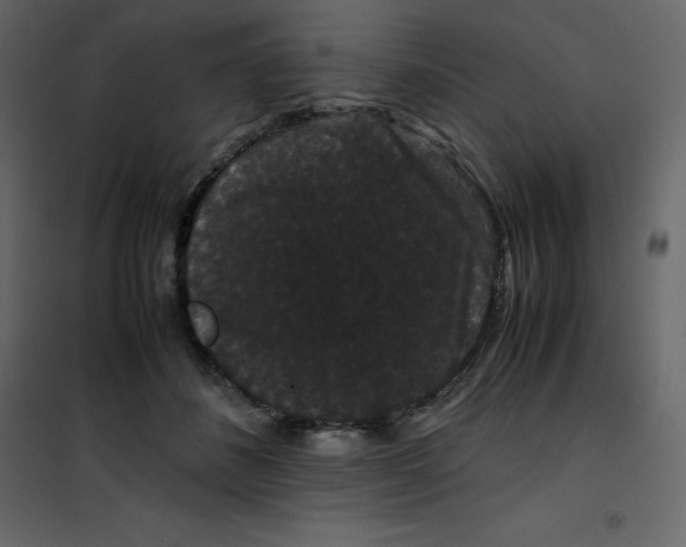 X0000101100508200807171915