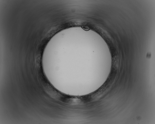 X0000101100509200807171915