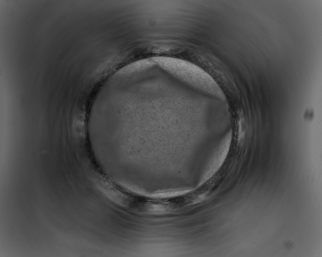 X0000101100510200807171915