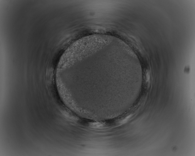 X0000101100511200807171915