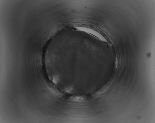 X0000101100512200807171915