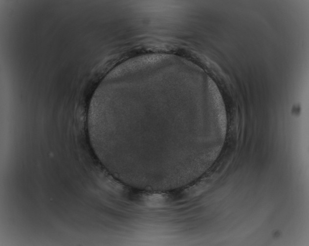 X0000101100513200807171915