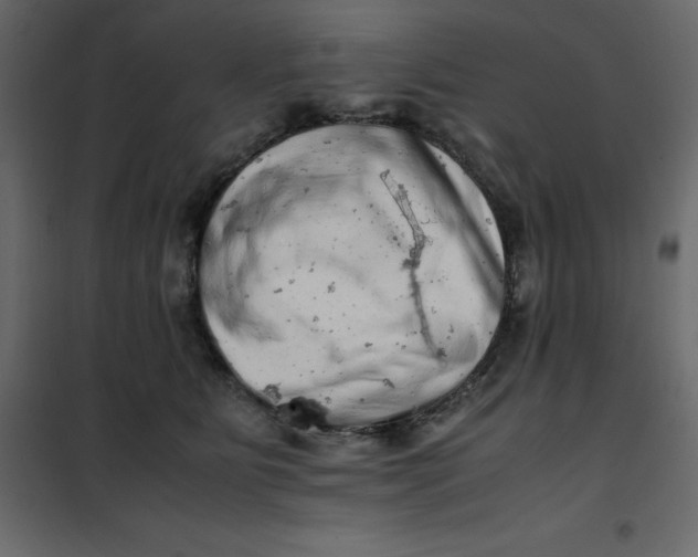 X0000101100515200807171915