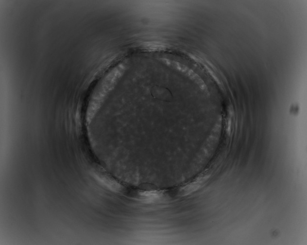 X0000101100516200807171915