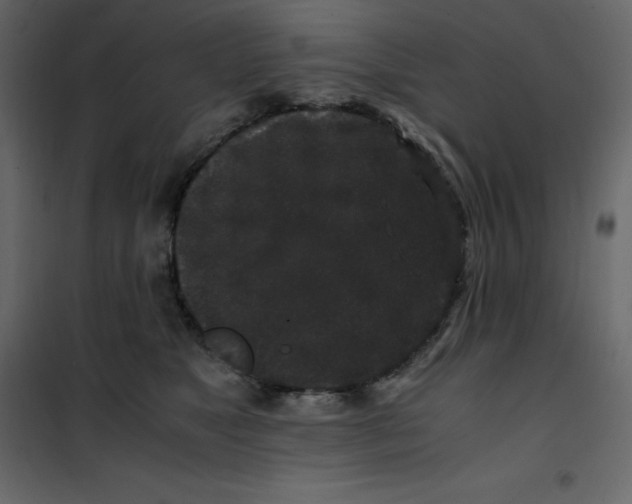 X0000101100517200807171915