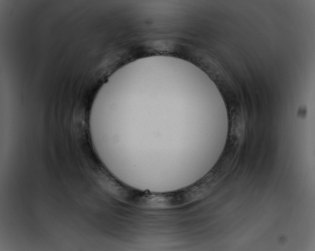 X0000101100518200807171915