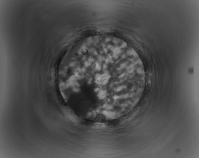 X0000101100519200807171915