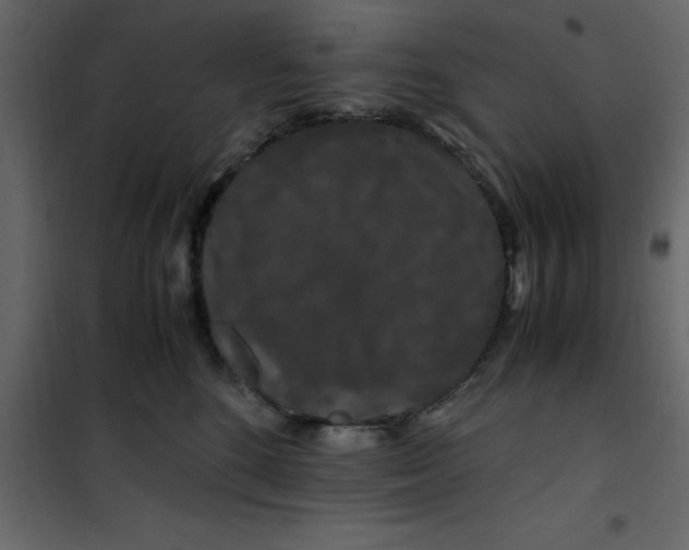 X0000101100520200807171915