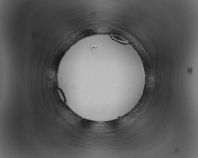 X0000101100521200807171915