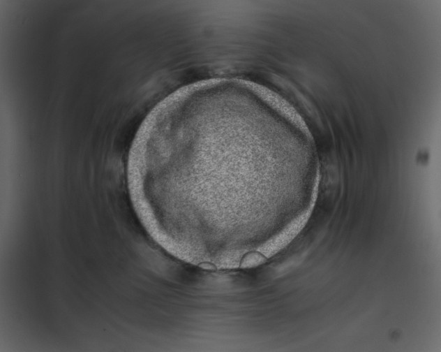 X0000101100523200807171915