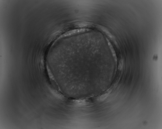 X0000101100524200807171915