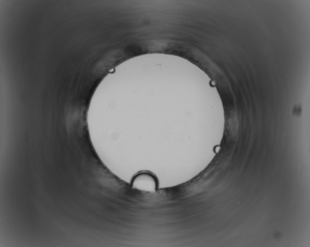 X0000101100525200807171915