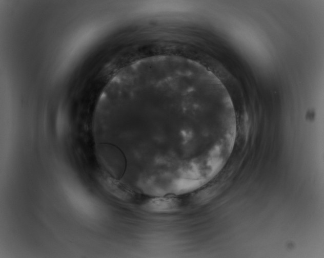 X0000101100526200807171915