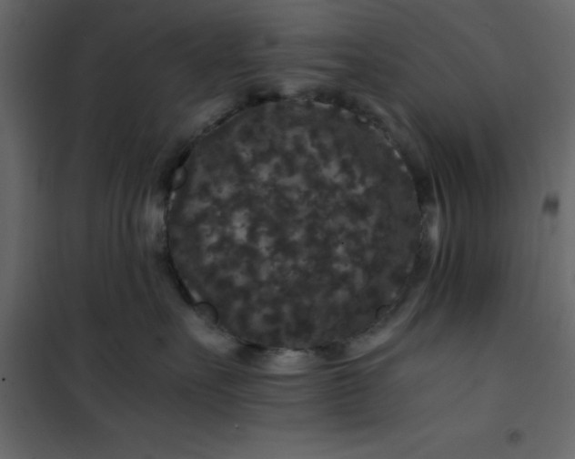 X0000101100527200807171915