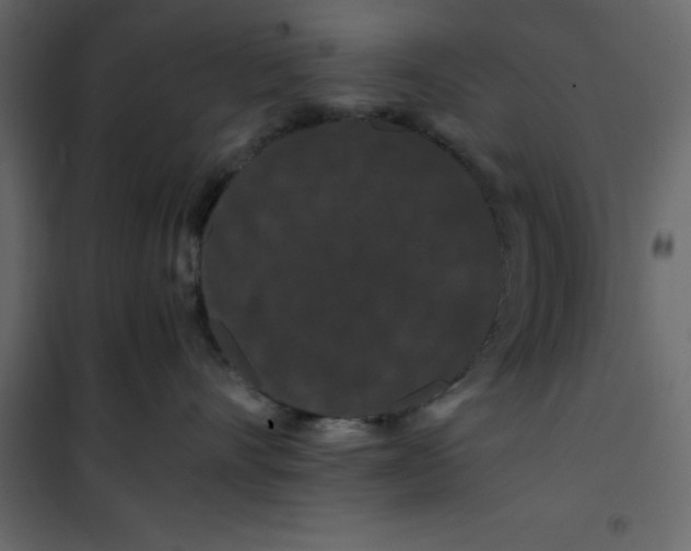 X0000101100528200807171915