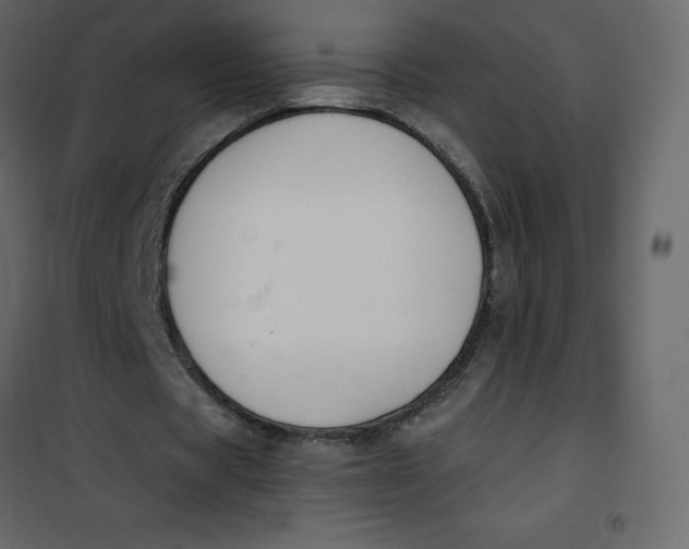 X0000101100529200807171914