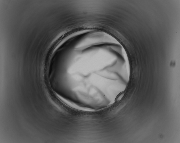 X0000101100530200807171914