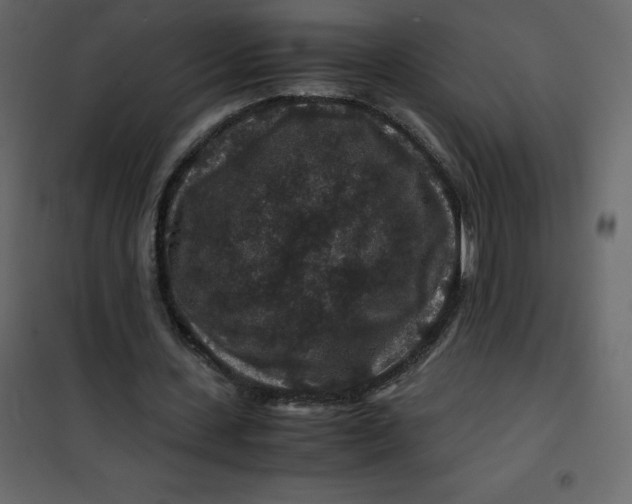 X0000101100531200807171914