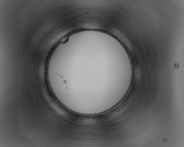 X0000101100533200807171914