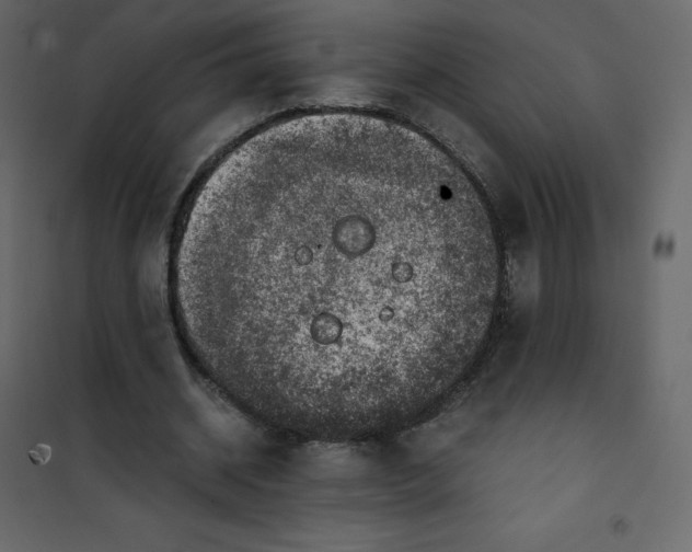 X0000101100534200807171914