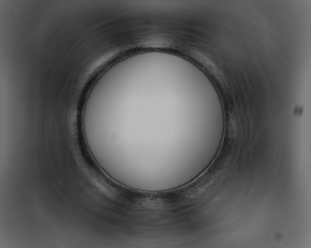 X0000101100535200807171914