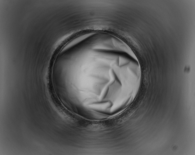 X0000101100536200807171914