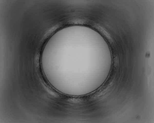 X0000101100537200807171914