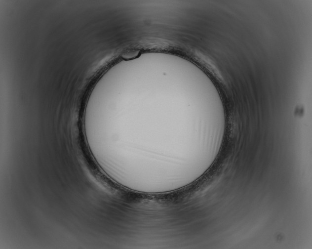 X0000101100538200807171914