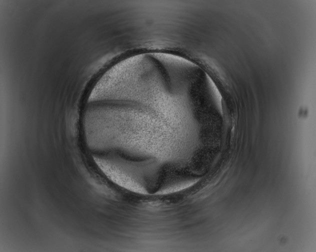 X0000101100540200807171914