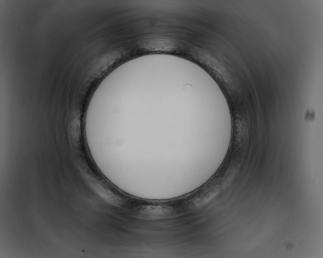 X0000101100541200807171914