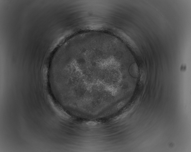 X0000101100542200807171914