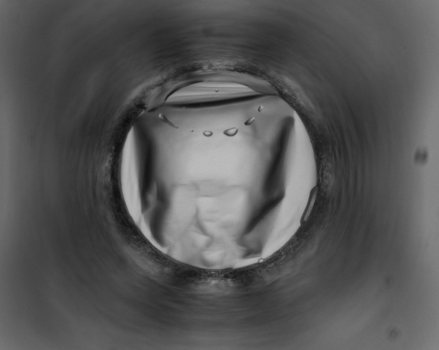 X0000101100543200807171914