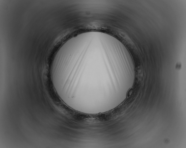 X0000101100544200807171914