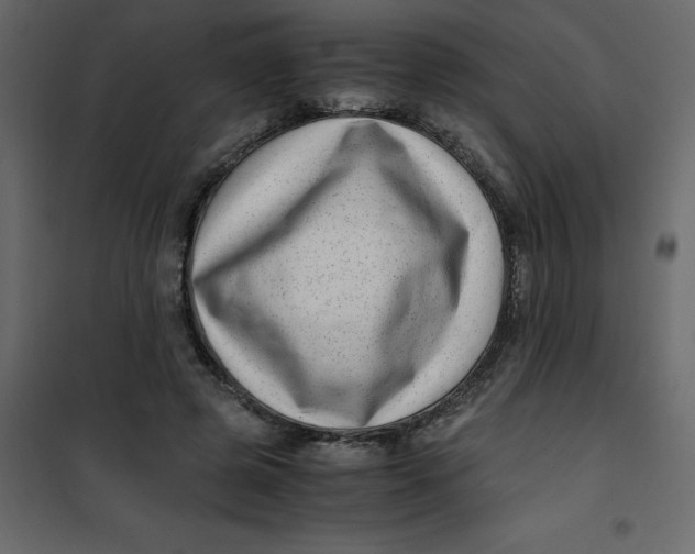 X0000101100545200807171914