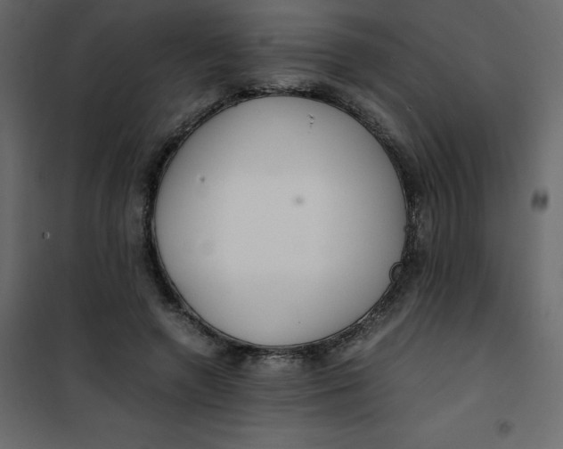 X0000101100546200807171914