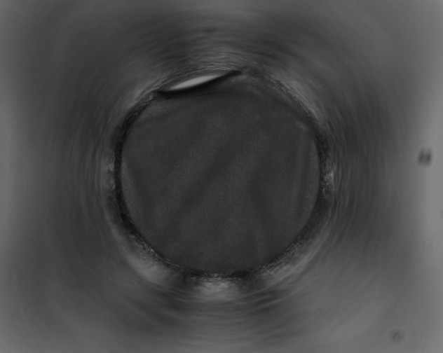 X0000101100547200807171914