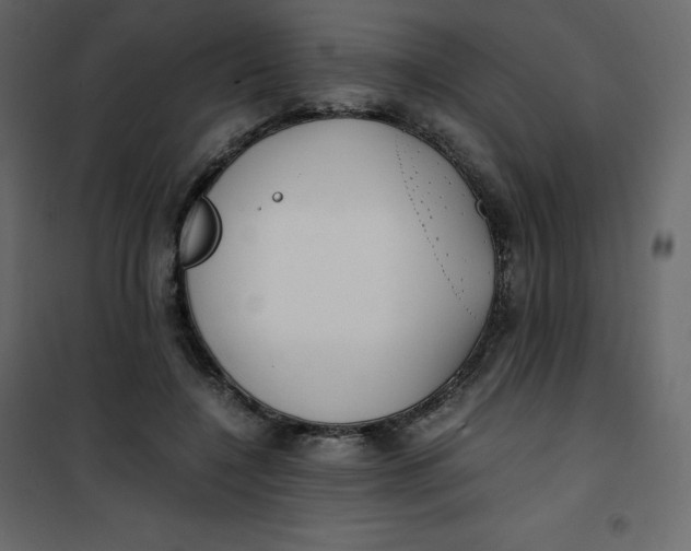 X0000101100548200807171914