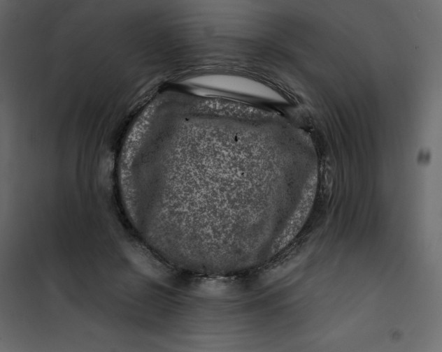 X0000101100550200807171914