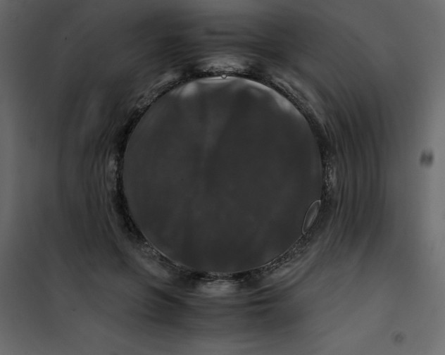 X0000101100551200807171914