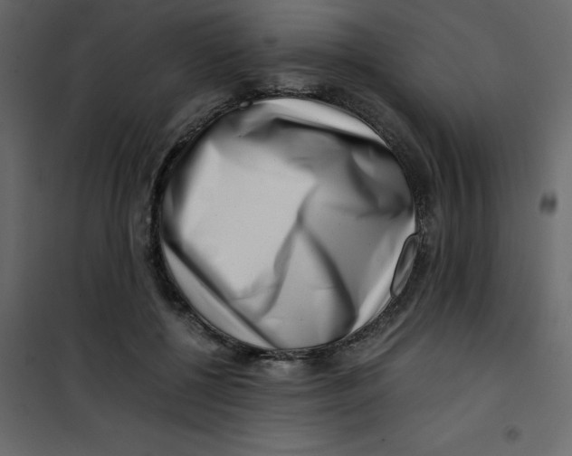 X0000101100552200807171914