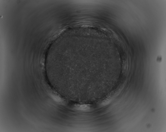 X0000101100553200807171914