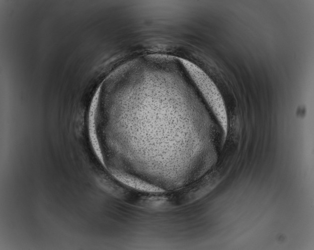 X0000101100554200807171914