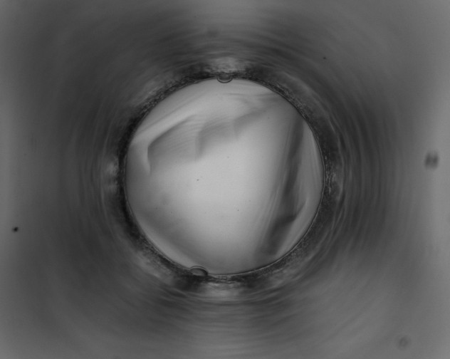 X0000101100556200807171914