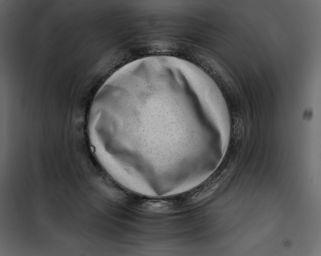 X0000101100557200807171914