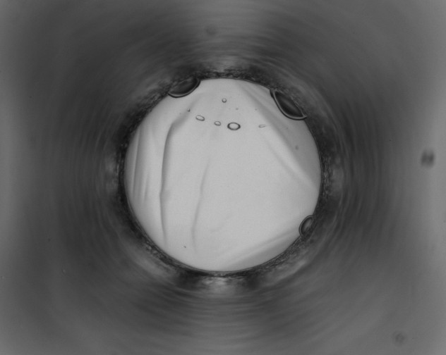 X0000101100558200807171914